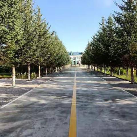 塔小迎接《义务教育学校管理标准》督导评估