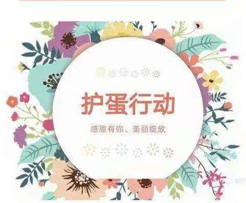 12月25日，太阳花幼儿园《小鬼当家》护蛋行动