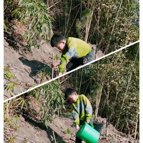 德育育人】腾冲市界头镇中心小学一（4）中队   走，我们去植树！