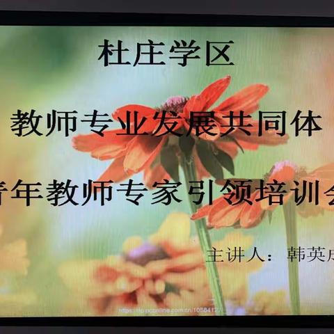 “春播桃李三千圃”暨杜庄学区教师专业发展共同体青年教师专家引领培训会