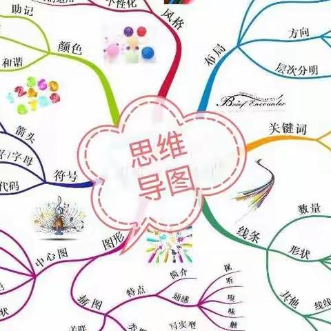 绘思维导图，提核心素养