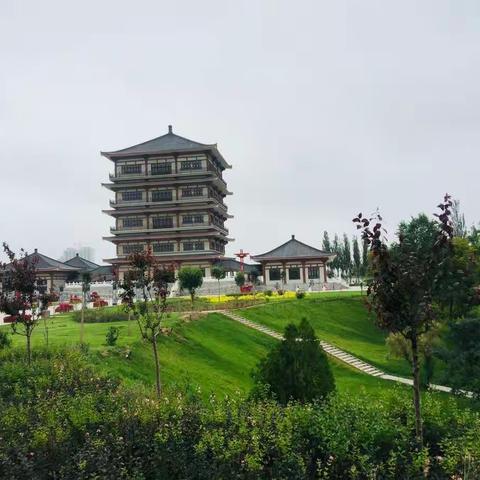 今日的金岭公园景色宜人