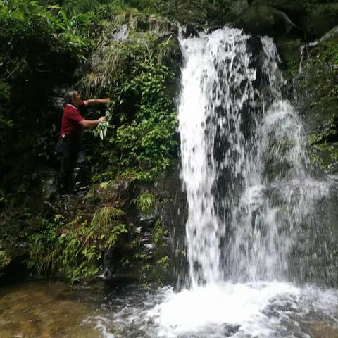 乐游大木源溯溪