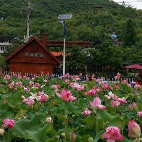 步步高生态园趣味AA制活动 