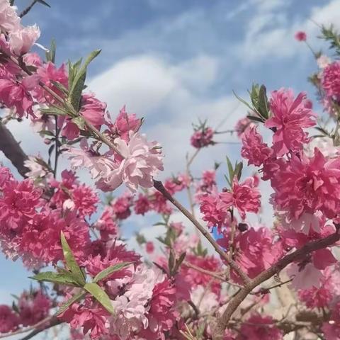 《不输在家庭教育上》之亲子沟通
