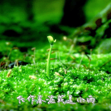 南园街学校三(四）班白娅涵   五一国际劳动节，这是培养我从小树立正确的劳动观念，体验劳动最光荣的重要节日。