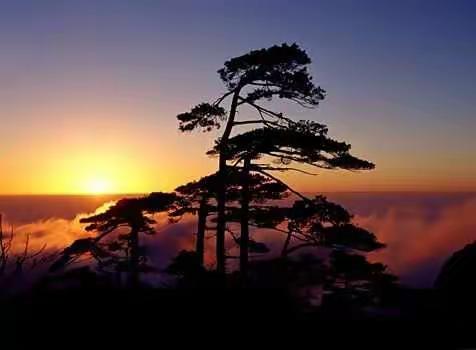 大美黄山5A黄山＋激情漂流2日游，让你嗨翻天，清凉一夏
