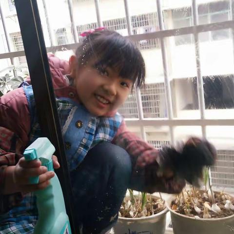 二年级寒假实践活动