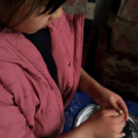 二年级寒假实践活动