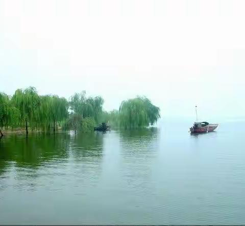 黄河润齐鲁，平湖保安澜