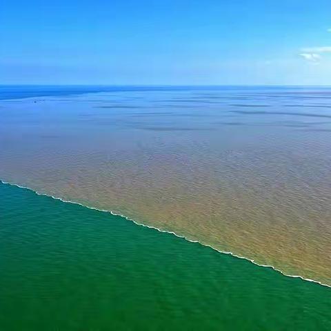 牵系于心，笃之于行的黄河情怀