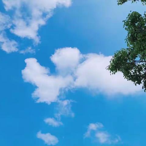 恰同学少年，风华正茂，行高标之礼，儒雅担当