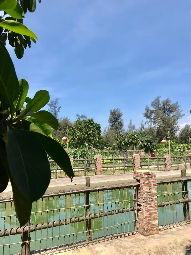 中信幸福农场