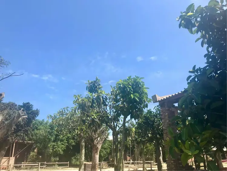 中信幸福农场
