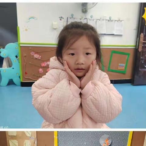 中班班本课程——手的探秘