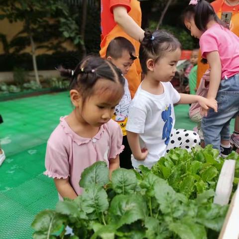 暑假送不送孩子去幼儿园，差距在哪里