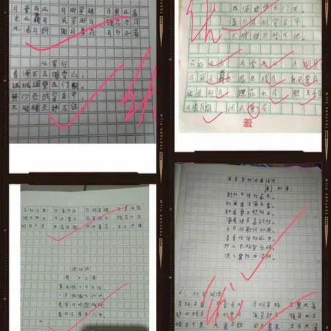 番阳中心学校语文组线上学习辅导（十）