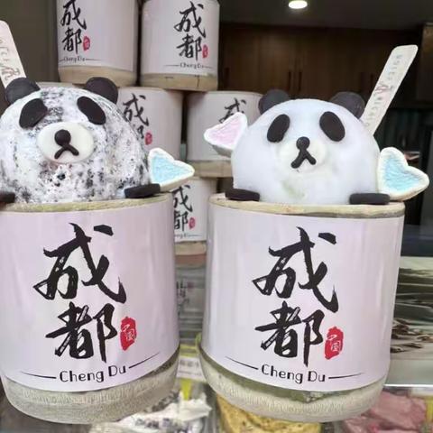 重庆成都之行