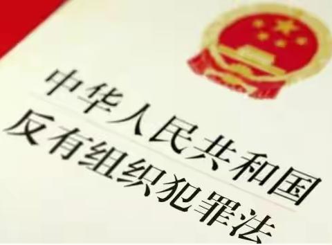 月河镇开展《反有组织犯罪法》宣传活动