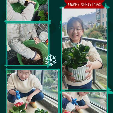 三月十二植树节，大家携手种树