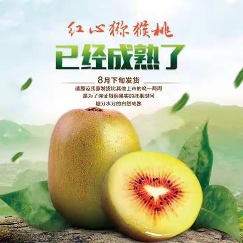吃货不断…………惊喜不断…………