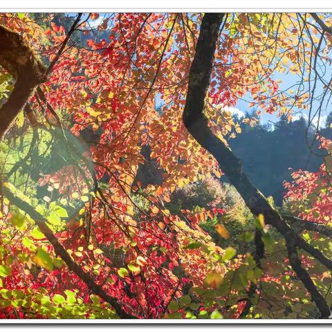 毕棚沟＿多彩之秋•雪国之冬