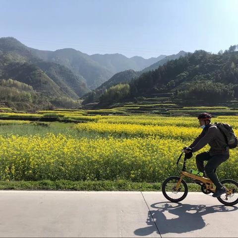 从休宁到深渡，新安江印象