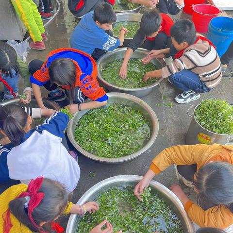 夏造小学 “传承美食文化，享受幸福生活”特色工作活动之—学做艾米果