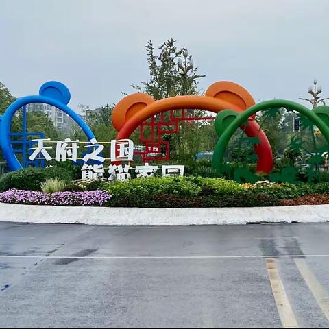 四川成都八日游纪实拍摄！（二）游览成都熊猫🐼养殖基地！2023.9.18.