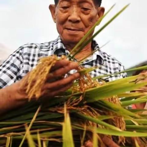 “光盘行动”倡议书——珍惜粮食是对袁爷爷最好的致敬、缅怀