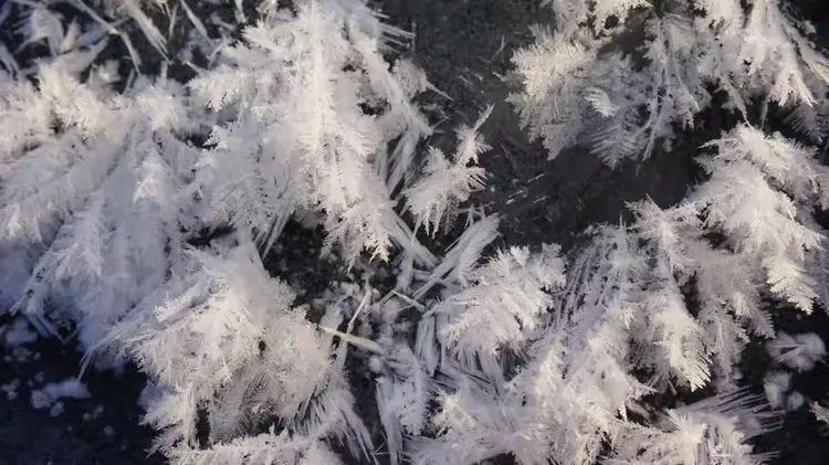 水怪快快现身一大早摆渡👉🏻雾凇岛看🌄