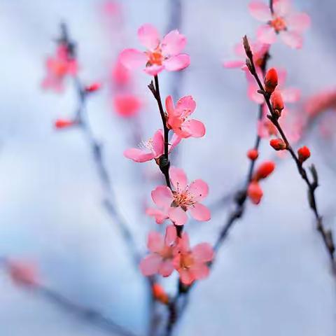 “亲其道，信其师”