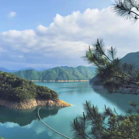 五水共治