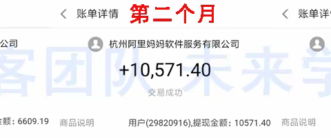 淘宝客社交电商被动躺赚月入3万