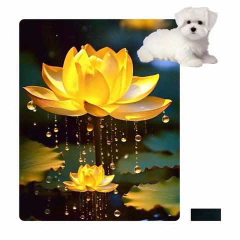 生命是完整的事情必然是完整的…