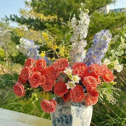 2023年11月25日懿心早安能量语句