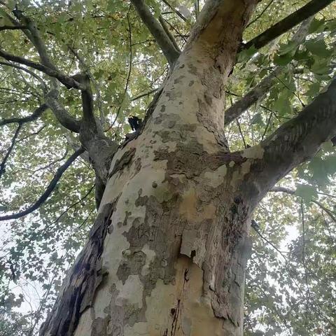 大部分人困在认知里