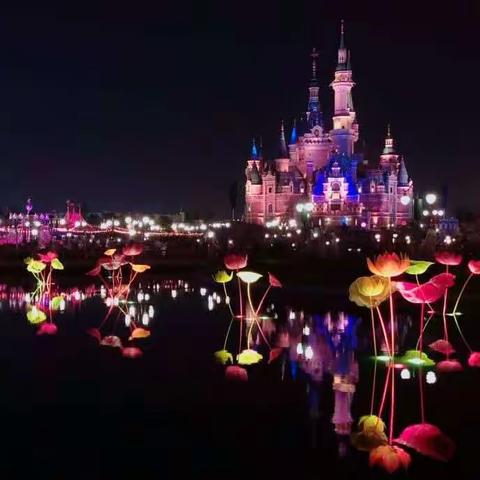 春节东部行