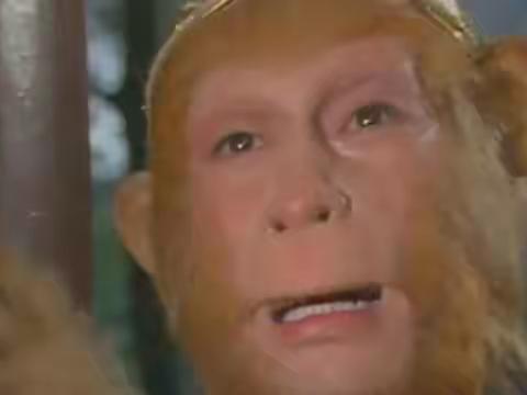 西游之后，再无悟空。