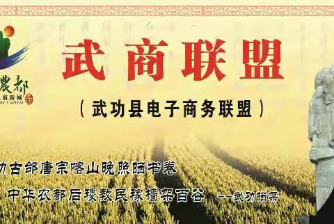 武商联盟团队召开发展研讨会
