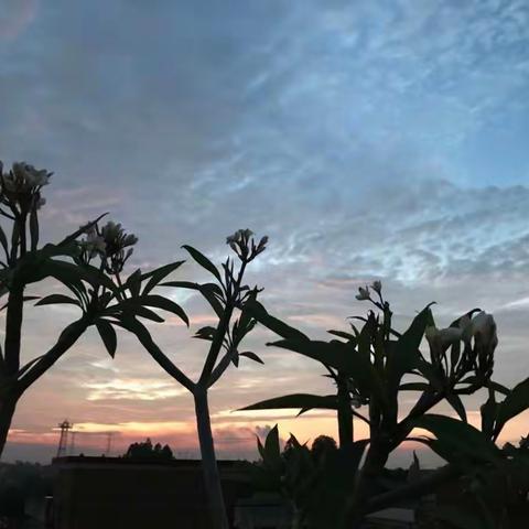 日出东方，一种屏住呼吸的美......