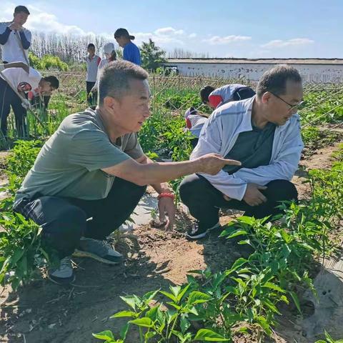 【书记项目 最强支部】播种希望，收获成长——海区五小龙游湾校区2022年劳动实践活动