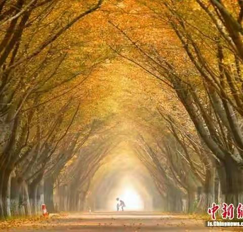 走进时光隧道出来有点失望