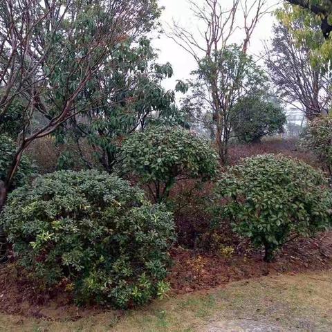 雨中漫步