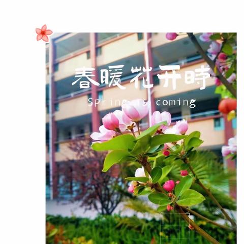 捕捉光影，定格美好——曹县第二实验小学庆六一摄影活动