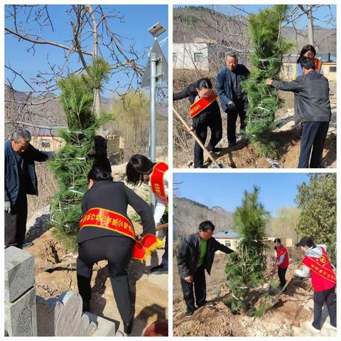 东营银行济南分行、齐商银行济南自贸区支行到吴家村开展“共建美丽乡村”植树帮扶活动