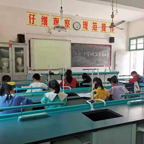 2021年秋沙洲小学硬笔书法比赛