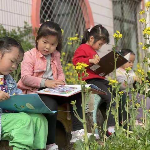 玲珑集团新村幼儿园“童语诵同音·推普筑未来”普通话大赛