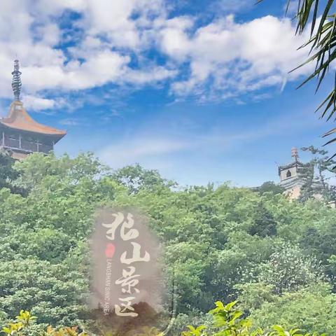 老同学一一一相聚在春暖花开时节