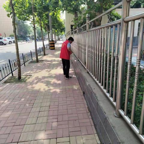 德州市解放南路小学7月31日创城、防疫动态工作汇报